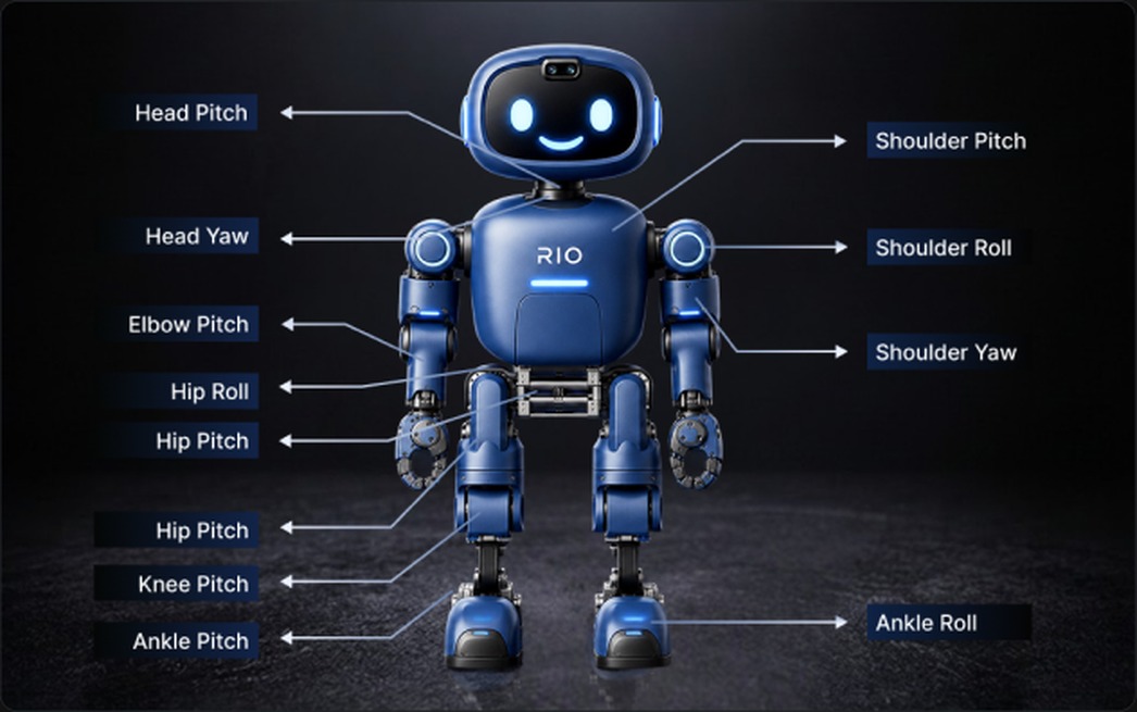 RIO robot diagram labelling head, shoulder, elbow, hip, knee and ankle joints